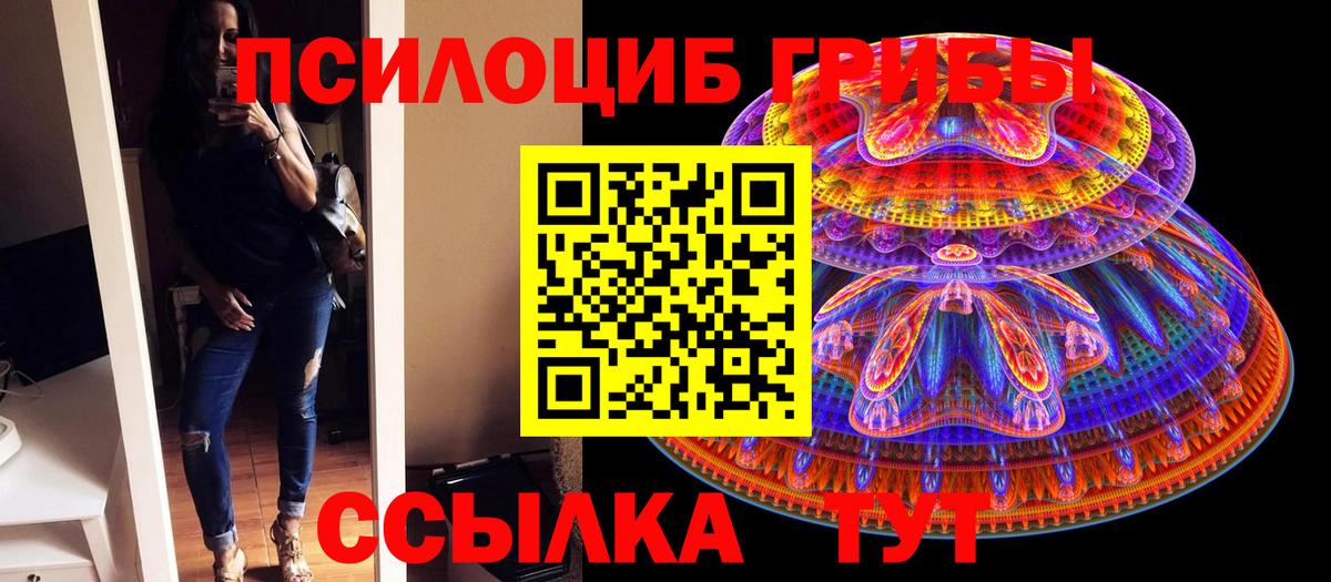 закладки  Вход с VPN  Черногорск  Псилоцибиновые грибы ЛСД 