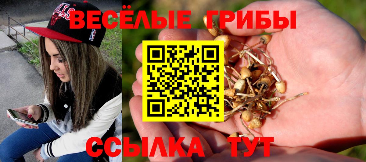 Каннабис Черногорск